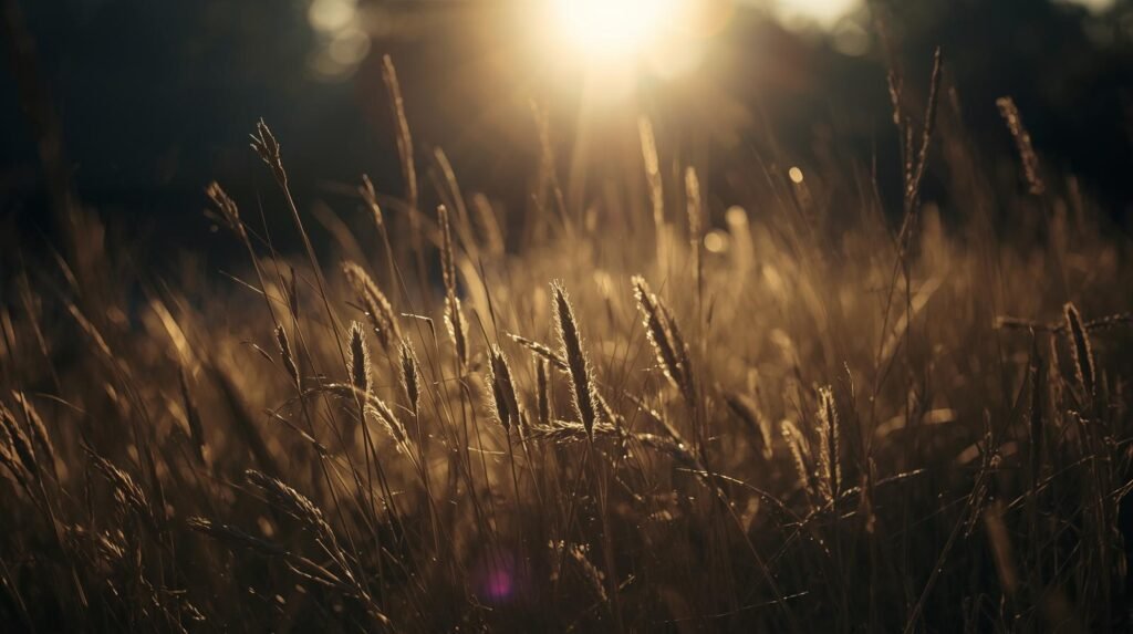 Rituel puissant pour éviter le divorce